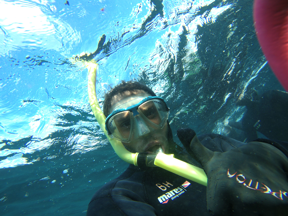 Salida de snorkel (11 de agosto)